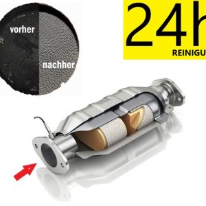 PKW DPF Reinigung